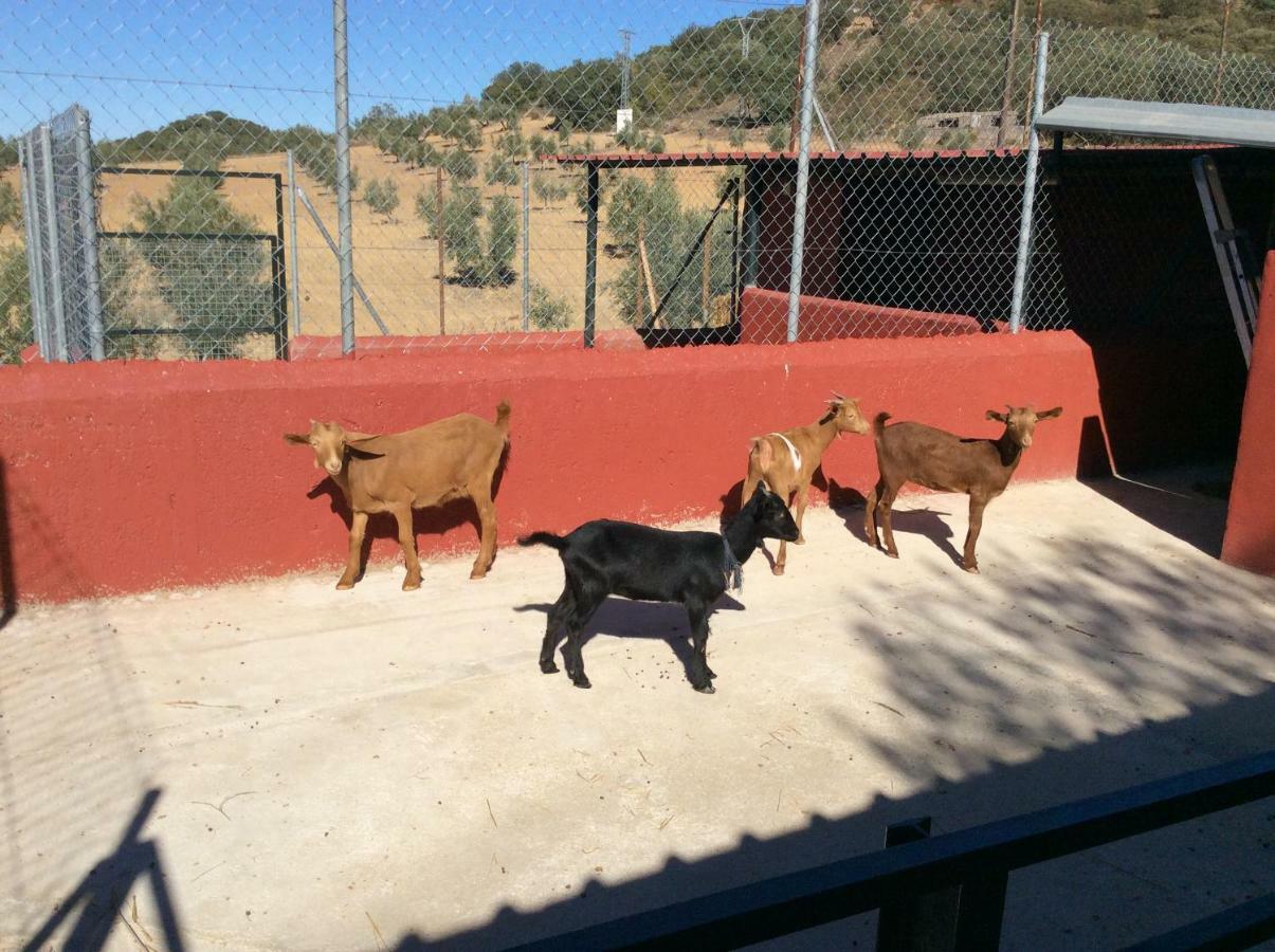 Santa Marta Complejo Rural Con Pista De Padel Vendégház Archidona Kültér fotó